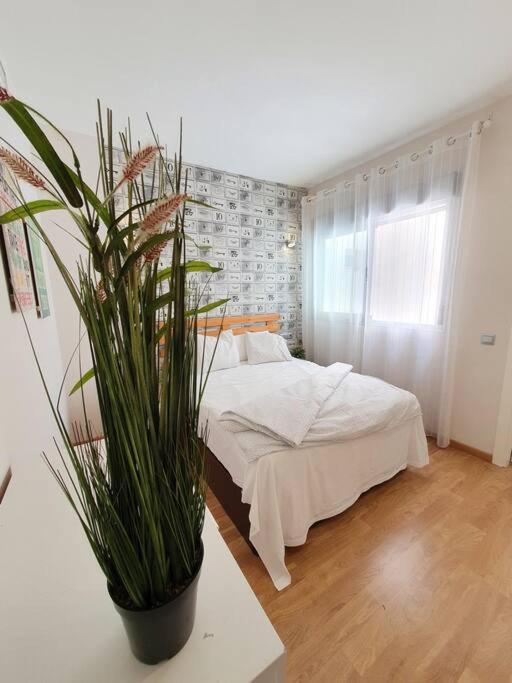Apartament Modern A Few Minutes To The Center - Trip Malaga