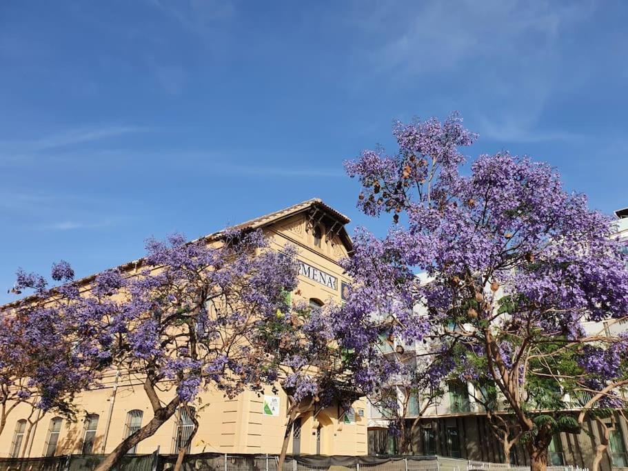 Apartament Modern A Few Minutes To The Center - Trip Malaga